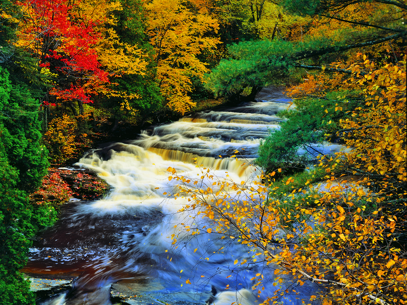 Electrician what is the essay a word for autumn mostly about Electrician what is the essay a word for autumn mostly about